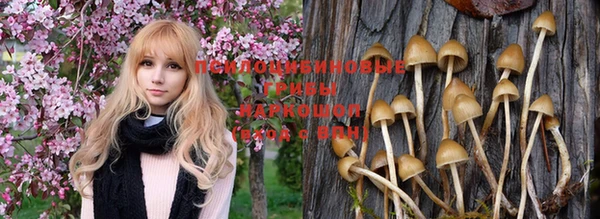 молекула духа Алексин
